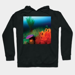 Fantasy Underwater Seascape Hoodie